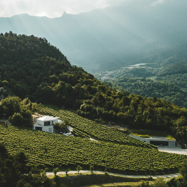 Degustazioni e visite in Cantina Salim