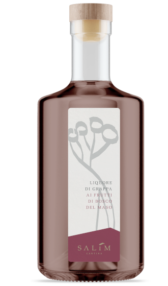 Cantina Salim - Lucida Olio extravergine di oliva
